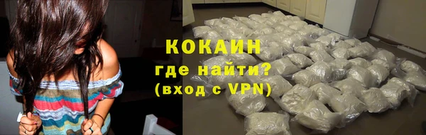 mix Богородицк