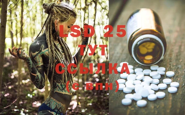 mix Богородицк