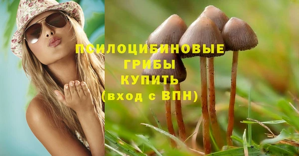 стаф Белокуриха