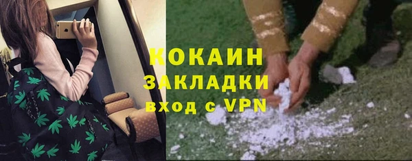 MESCALINE Бородино