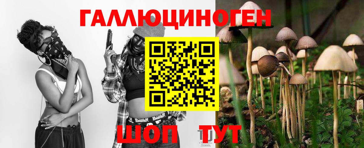 Галлюциногенные грибы Cubensis Воскресенск